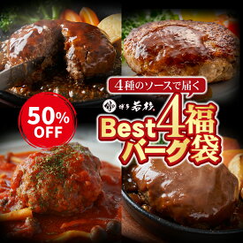 【P最大10倍】今なら50％OFF！スーパーSALE限定★Best4バーグ ハンバーグ福袋 4種×5個合計20個入り【送料無料】c3 大容量3kg 電子レンジ調理OK お取り寄せ ギフト プレゼント 贈り物 誕生日 お祝い 内祝い 冷凍 食品 おつまみ 食べ物 博多 九州 湯煎 お歳暮