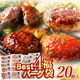 ＼総重量3kg 20個入／Best4バーグ ハンバーグ福袋 4種×5個 合計20個入り【送料無料】 c3 大容量3kg 電子レンジ調理OK お取り寄せ ギフト プレゼント 贈り物 誕生日 お祝い 冷凍 食品 博多 食べ物 グルメ 九州 おつまみ 湯煎 敬老の日