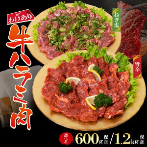 _{iē^ 󂠂 n~Zbg (|hA˂) e2P v1,200g^e1P v600g yz c3 n~ 󏭕  Mtg v[g 蕨 a j j  V Ⓚ 