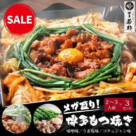 【セール/10％OFF】メガ盛り！博多もつ焼き(2〜3人前)×3セット【送料無料】 c3 味噌 うま塩 コチュジャン ホルモンミックス お取り寄せ ギフト プレゼント 贈り物 誕生日 お祝い 内祝い 高級 老舗 冷凍 食品 グルメ 博多 九州 おつまみ お中元