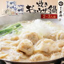 ＼もっちりギョウザを豚骨スープで食す！／ 博多若杉 プレミアム 炊き餃子2〜3人前セット 【送料無料】 c1 ぎょうざ …
