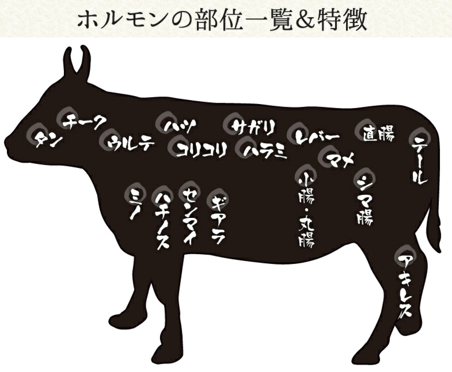ホルモン 部位 一覧