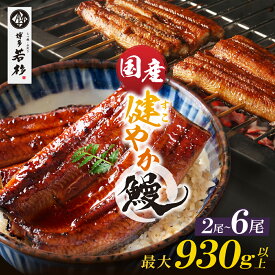 国産 健やか鰻 無頭 2/4/6尾 タレ山椒付 容量選べる【送料無料】博多若杉 九州産 うなぎ 蒲焼 無投薬 鰻 ウナギ うな丼 うな重 土用の丑の日 お取り寄せ ギフト プレゼント 贈り物 誕生日 お祝い 内祝い 冷凍 食品 おかず 博多 九州 敬老の日 食べ物 グルメ