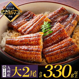 ＼ふっくら肉厚／ 国産うなぎ蒲焼(タレ付)2尾（大）【送料無料】 c4 有頭 ウナギ 鰻 海鮮 のし対応 お取り寄せ ギフト プレゼント 贈り物 誕生日 お祝い 内祝い 高級 老舗 冷凍 食品 おつまみ 食べ物 グルメ 博多 九州 お歳暮