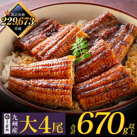 ＼ふっくら肉厚／ 国産うなぎ蒲焼(タレ付)4尾（大）【送料無料】 c4 有頭 ウナギ 鰻 海鮮 のし対応 お取り寄せ ギフト プレゼント 贈り物 誕生日 お祝い 内祝い 高級 老舗 冷凍 食品 おつまみ 食べ物 グルメ 博多 九州 お年賀 年末年始 お正月