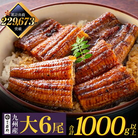 ＼ふっくら肉厚／ 国産うなぎ蒲焼(タレ付)6尾（大）【送料無料】 c4 有頭 ウナギ 鰻 海鮮 のし対応 お取り寄せ ギフト プレゼント 贈り物 誕生日 お祝い 内祝い 高級 老舗 冷凍 食品 おつまみ 食べ物 グルメ 博多 九州 お歳暮