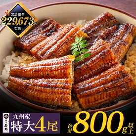 ＼ふっくら肉厚／ 国産うなぎ蒲焼(タレ付)4尾（特大）【送料無料】 c4 有頭 ウナギ 鰻 海鮮 のし対応 お取り寄せ ギフト プレゼント 贈り物 誕生日 お祝い 内祝い 高級 老舗 冷凍 食品 おつまみ 食べ物 グルメ 博多 九州 お歳暮