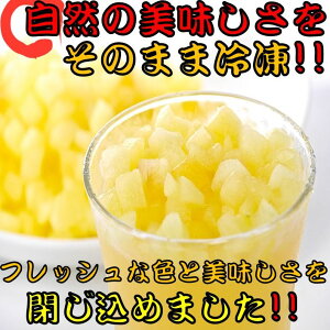 sIQFⓀJbgt[ct  Abv _CXJbg 500g 3ܓ Ⓚ Hi t[c VN g؂ ֗ N e X[W[ hN ACX fU[g Ɩp T[ ʕ  