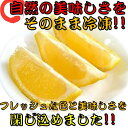 《冷凍 簡単 便利 新鮮》 カット レモン 500ｇ 3袋入り 【冷凍 ...