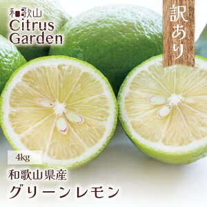 y Iׂe z󂠂 Y  a̎RYԌ ̃tbVȍO[ Y ʏ`m[bNX hܕsgp 炲ƐHׂ t[c ʕ M