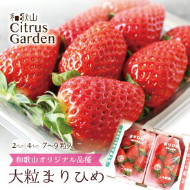 いちご 送料無料 【 完熟 まりひめ 秀品 4L〜5Lサイズ 】 約7〜9粒 2パック4パック和歌山県 オリジナル品種 ブランド苺毎朝市場で仕入れた新鮮ないちごを、その日のうちに発送いたします。