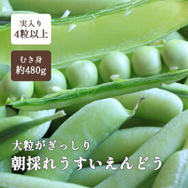 うすいえんどう豆 紀州うすい 1kg L級 秀品 和歌山 朝採れウスイエンドウ 温室栽培 袋入り 送料無料