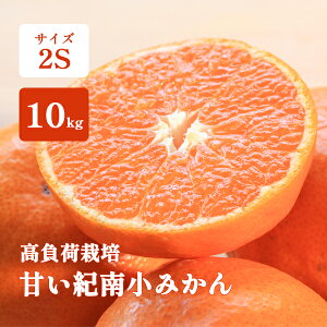 ݂ 1kg 5kg 10kg x  2S Â a̎R  cg̊Ân~J I݂ ݂ 4kgȏő