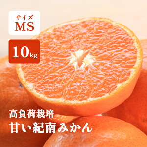 ݂ 1kg 5kg 10kg x Â MS a̎R  cg̊Ân~J I݂ ݂ 4kgȏő