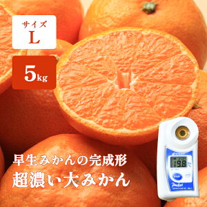 ݂ 2.5kg 5kg x Ε Mtg Â L a̎R Sʃ}`핢͔| ēc̒Z݂ I݂   