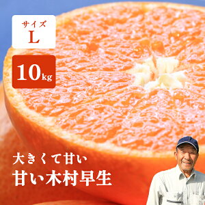 ݂ 5kg 10kg x L ؑ a̎R  cg̊Â~J I݂ 