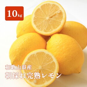  Y 1kg 5kg 10kg  a̎R  ̂ꊮn m[bNX hܕsgp I l[h T[ 4kgȏő