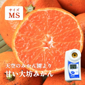 みかん 高糖度 1kg 5kg 10kg MS玉 和歌山 箱買い 甘い大坊越冬ミカン 紀南みかん 早生 3kg以上ご注文で送料無料
