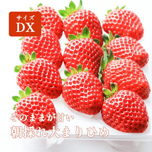 ܂Ђ  x Mtg Â 2pbN 嗱 c̒̂꒴n܂Ђ߃fbNX Gi C`S  a̎R  