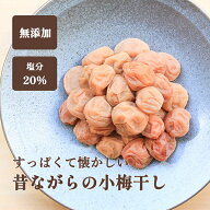 梅干し 無添加 塩分20% 小梅 1000g サイズ無選別 昔ながらの無添加小梅干し すっぱい 白干梅 白梅干し 弁…