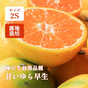 ݂ 1kg 5kg 10kg  x 2S 瑁 Â a̎R 10ȍ~  ғc̊Â~J I݂
