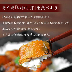 【期間限定キャンペーン】【訳あり】北海道産!いわし丼5食セット【メール便A】【WKP】