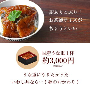 【期間限定キャンペーン】【訳あり】北海道産!いわし丼5食セット【メール便A】【WKP】