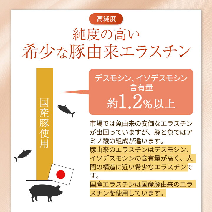 楽天市場】【ポイント10倍】エラスチン 粉末 サプリ コラーゲン 