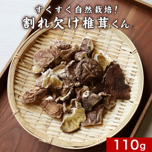ő Y 󂠂 ꌇő 110g    VC^P ق 啪 BY ő  VC^P ؒő R͔|IK