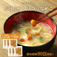 きのこ いつでも ぷりぷりコリコリ なめこ 600g (100g×6袋) 長期保存 味噌汁の具 国産 みそ汁の具 みそ…