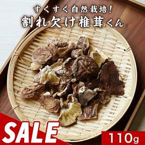 y300~OFFZ[ző Y 󂠂 ꌇő 110g    VC^P ق 啪 BY ő  VC^P ؒő 