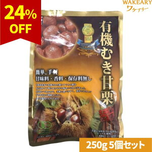 [5]c L@ ނÌI@250g@ܖ2026.03.26yܖԋ߁z