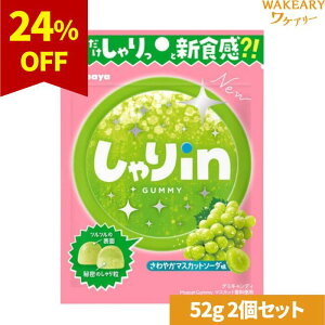 [2]y󂠂zJo inO~ ₩}XJbg\[_@52g@ܖ2026.02.28yܖԋ߁z