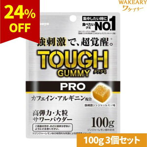 [3]Jo ^tO~PROJtFC WW[@100g@ܖ2025.12.31yܖԋ߁z