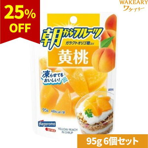 [6]͂t[Y t[c @95g@ܖ2026.02.05yܖԋ߁z