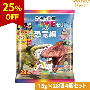 [4]G[Xx[J[ w̐}LIVE[[ ҁ@15g×28@ܖ2025.11.18yܖԋ߁z