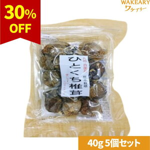 [5]ېΐHi BElY ЂƂő@40g@ܖ2026.03.01yܖԋ߁z