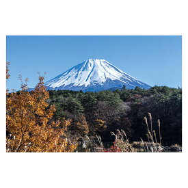 富士山ポストカード　精進湖から富士山を望む (YN-005)　当店オリジナル写真絵はがき