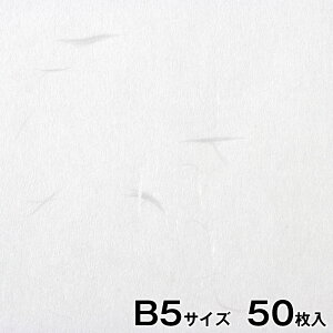 v^[a@咼@玆@@B5TCY50@CNWFbgE[U[Ή