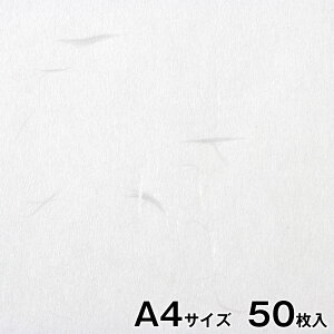 v^[a@咼@玆@@A4TCY50@CNWFbgE[U[Ή