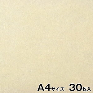 v^[a@咼@@RF@A4TCY30@CNWFbgE[U[Ή