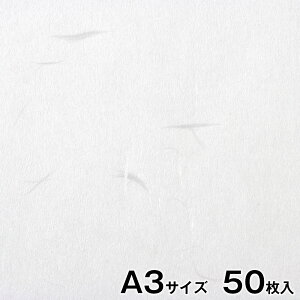 v^[a@咼@玆@@A3TCY50@CNWFbgE[U[Ή