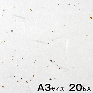 v^[a@咼@玆@⍻q@A3TCY20@CNWFbgE[U[Ή