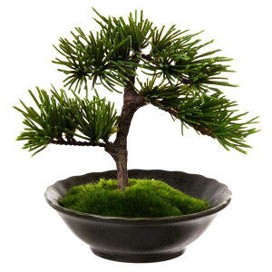 tFCNA[g~́@R-ZEN-@-SUN-~fBA03@{mtElAȖ~͂C[WčBONSAIf@{IaCeA
