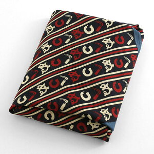 ]ː㎆@C@`[tC~50cm@܂ʁ@