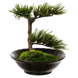 tFCNA[g~́@R-ZEN-@-SUN-~fBA07@{mtElAȖ~͂C[WčBONSAIf@{IaCeA