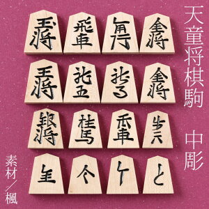 V@@@V̐Elɂ蒤菫@R`̍H|i@؍Hi