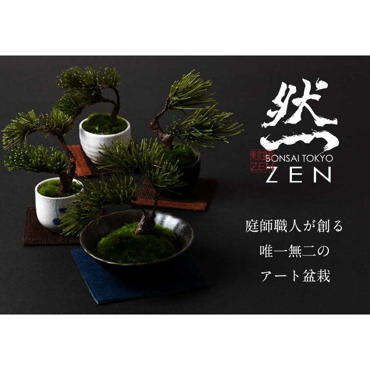 楽天市場】フェイクアート盆栽 然-ZEN- 寸-SUN-スモール 無地黒鉢 本物 
