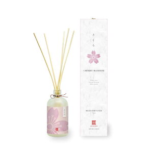 cotoiro@lG̃[hfBt[U[@@a̍@|bvȘa@F1-1@rO@ց@Q@gC@ART LAB. RgC@s@s