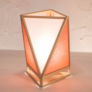 aX^hCg@ sai@s@27cm@VR؂ƋȁƖ@LEDdΉ@{CeACg@a̗D